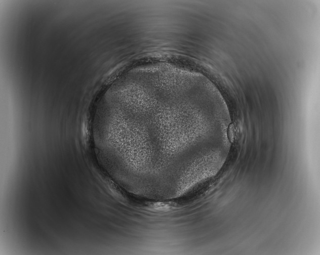 X0000095930566200801251052