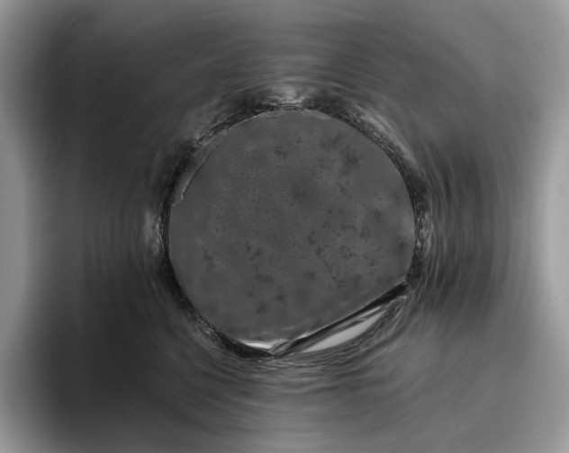X0000095930568200801251052