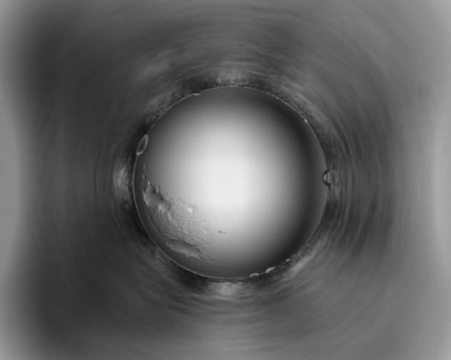 X0000095930575200801251052