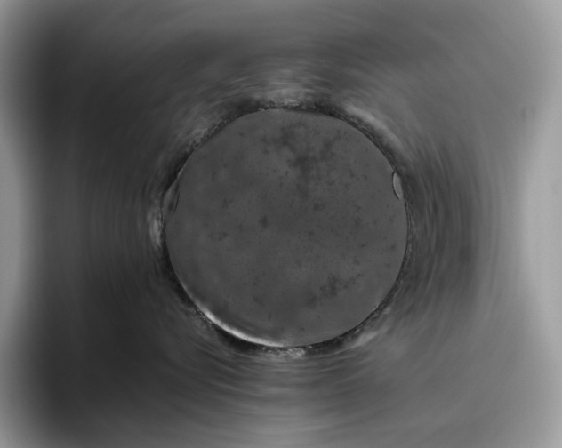 X0000095930576200801251052