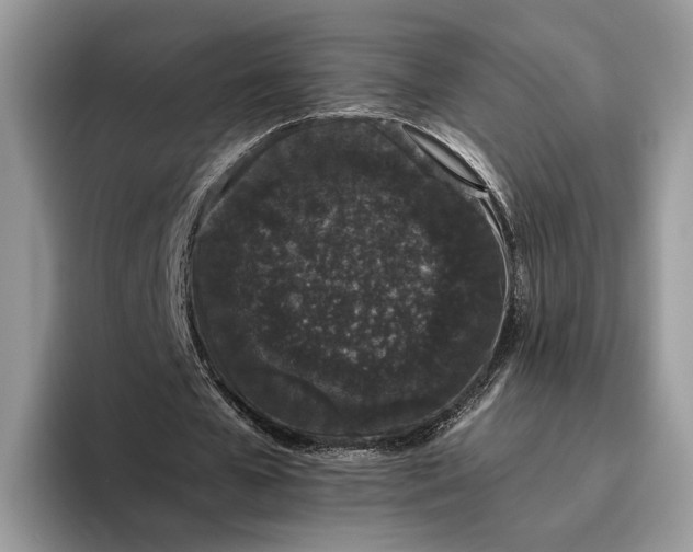 X0000095930577200801251051