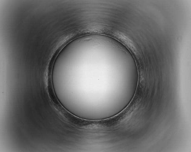X0000095930578200801251051