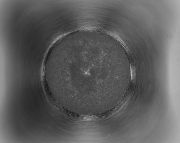 X0000095930579200801251051