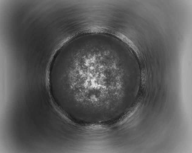 X0000095930581200801251051