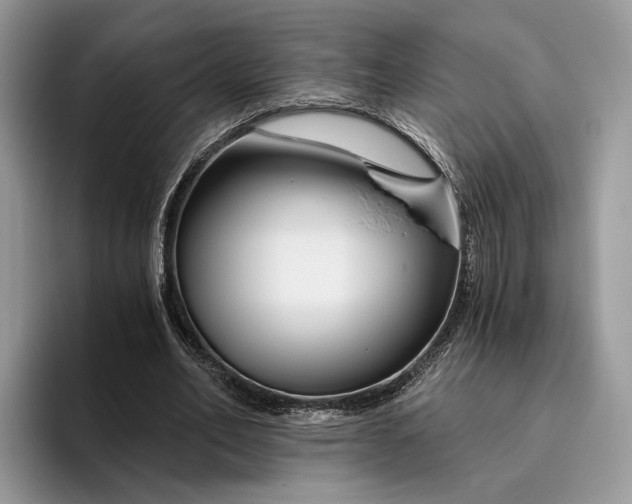 X0000095930582200801251051