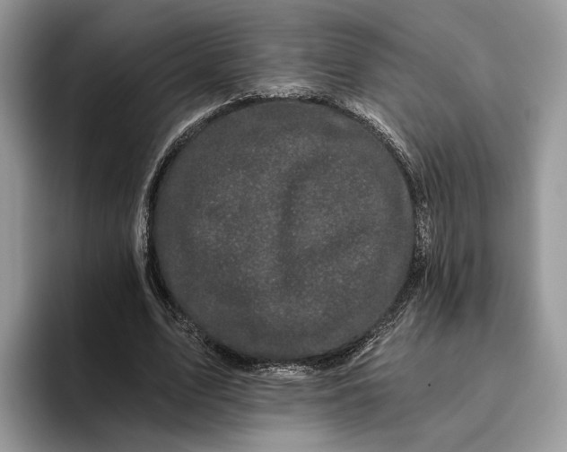 X0000095930583200801251051