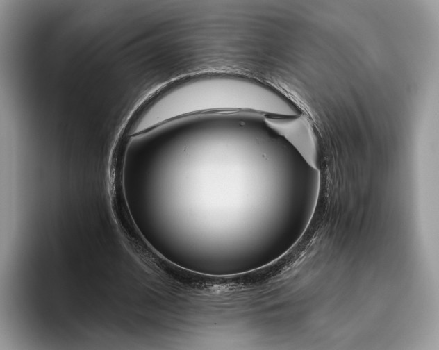 X0000095930584200801251051