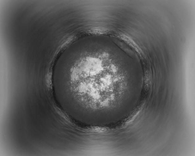 X0000095930585200801251051