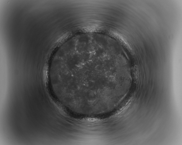 X0000095930590200801251051