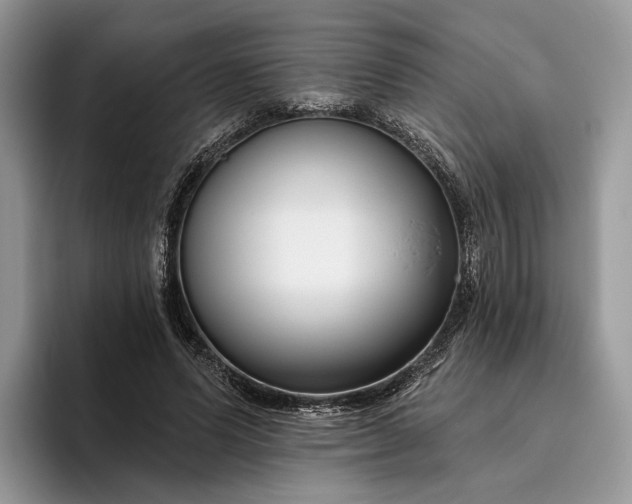 X0000095930591200801251051