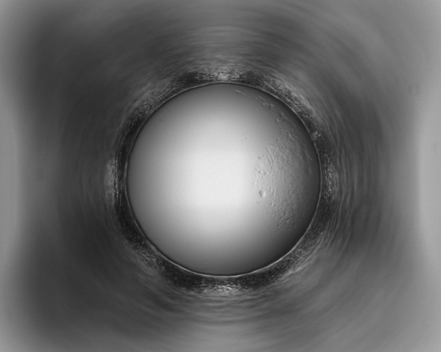 X0000095930594200801251051
