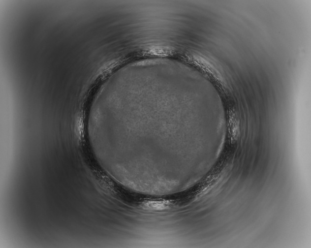 X0000095930595200801251051