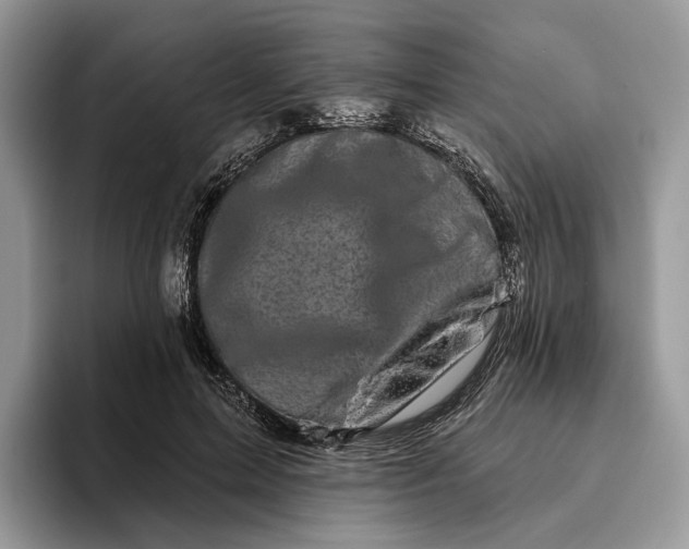 X0000095930599200801251051