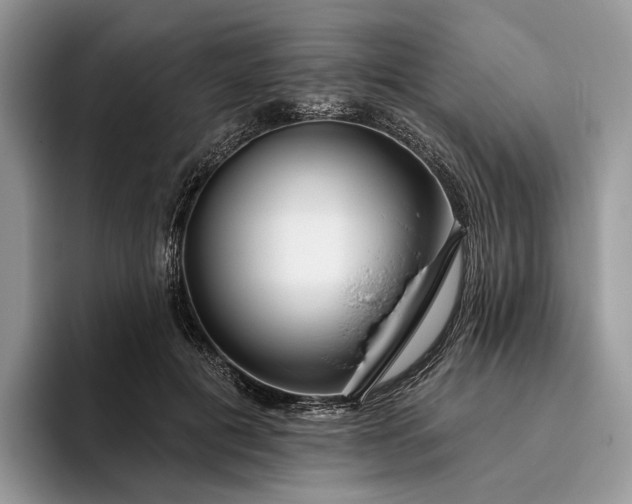 X0000095930601200801251051