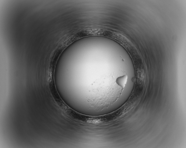 X0000095930602200801251051