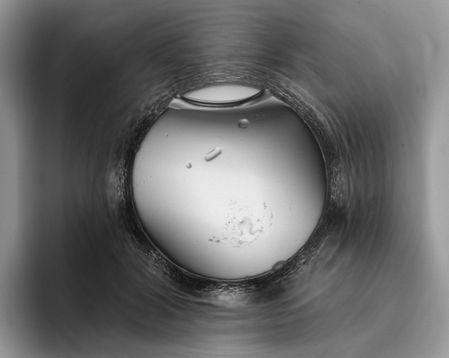 X0000095930604200801251051