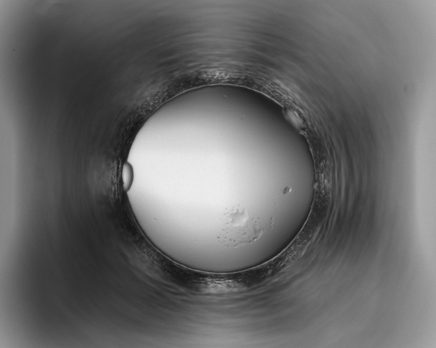 X0000095930605200801251051