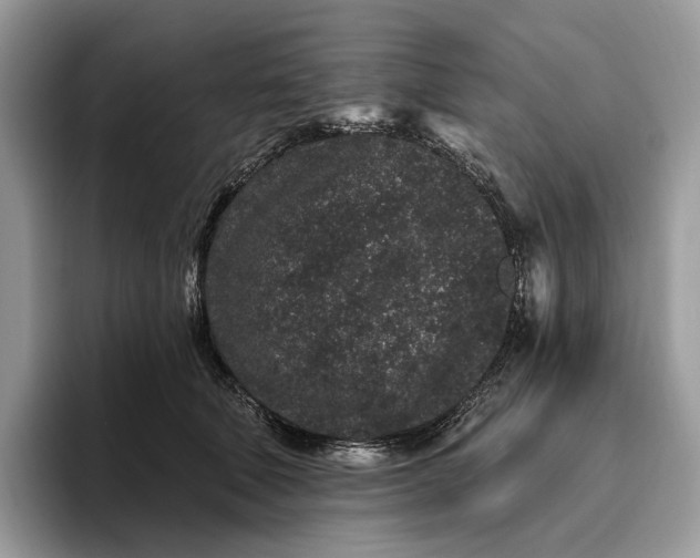 X0000095930610200801251051