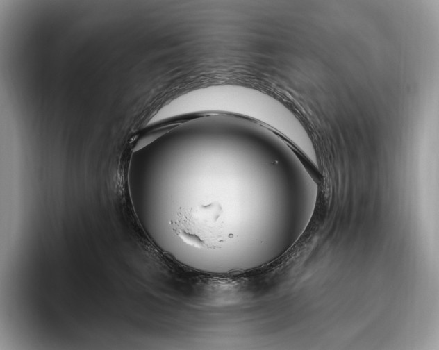 X0000095930613200801251051