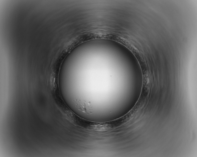 X0000095930615200801251051