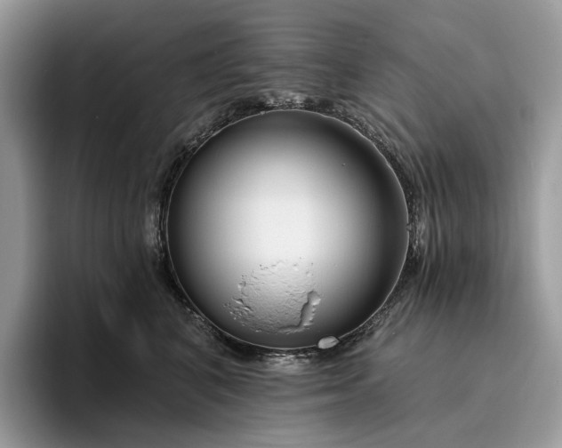 X0000095930616200801251051