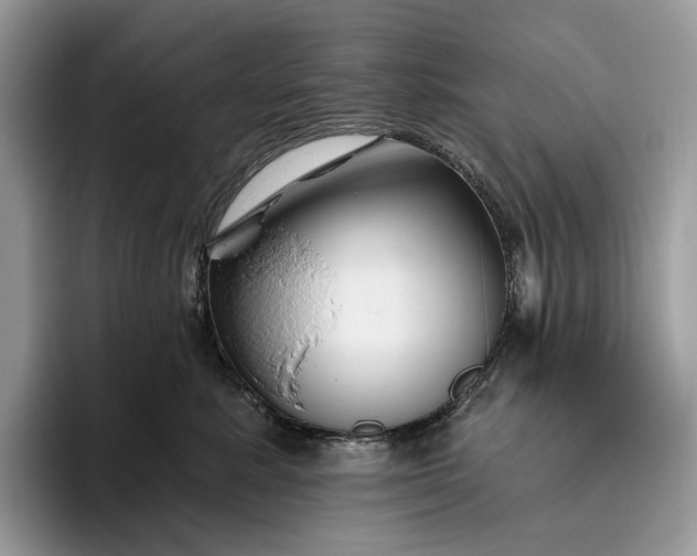 X0000095930619200801251051