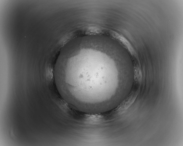 X0000095930621200801251051
