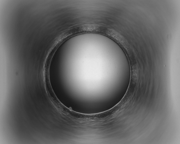 X0000095930626200801251050