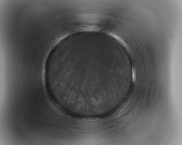 X0000095930627200801251050