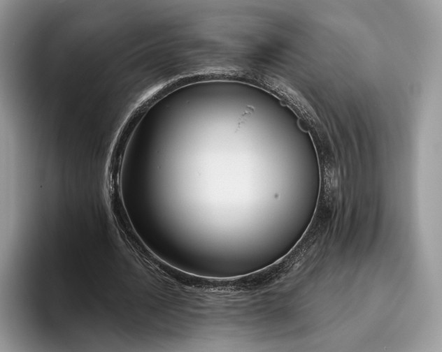 X0000095930628200801251050
