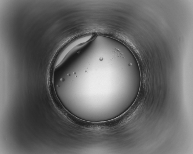 X0000095930629200801251050