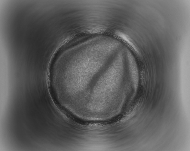 X0000095930634200801251050