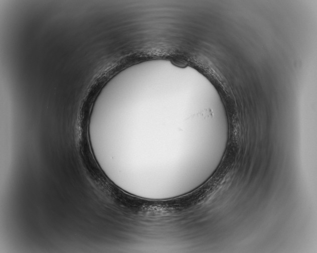 X0000095930635200801251050