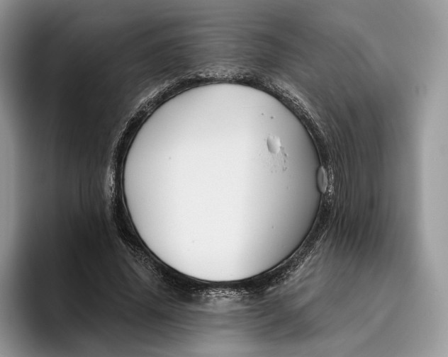 X0000095930636200801251050