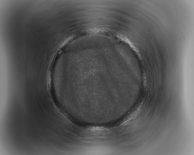 X0000095930637200801251050