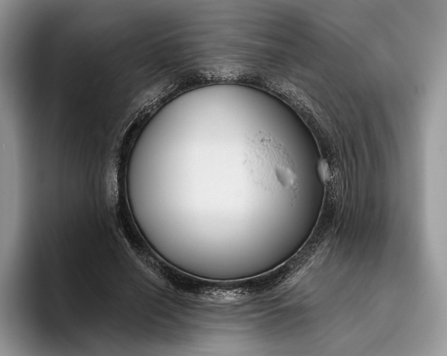 X0000095930638200801251050