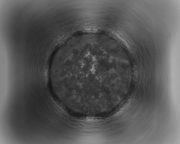 X0000095930641200801251050