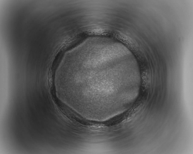 X0000095930642200801251050