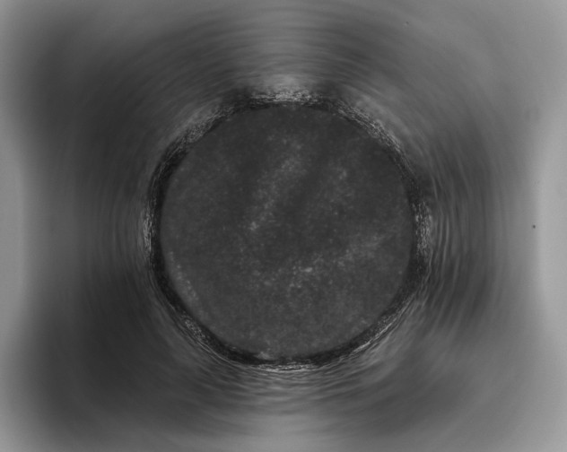 X0000095930643200801251050