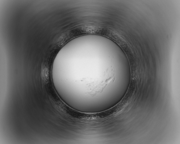 X0000095930646200801251051