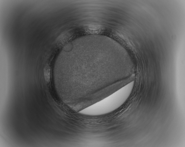 X0000095930647200801251051
