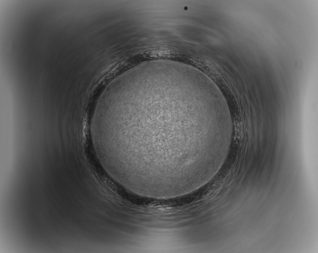 X0000095930648200801251051
