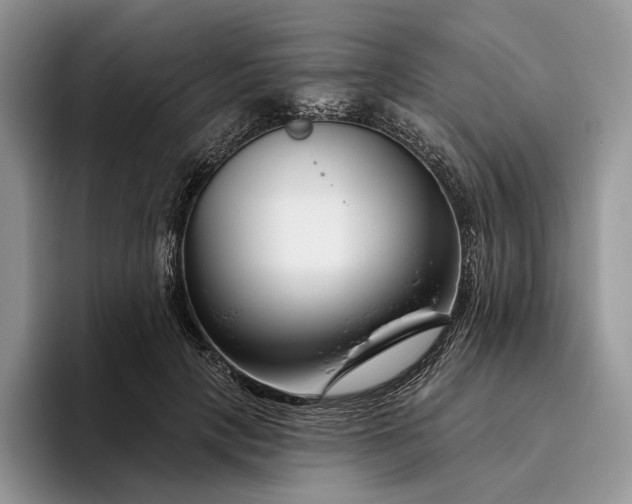 X0000095930649200801251051
