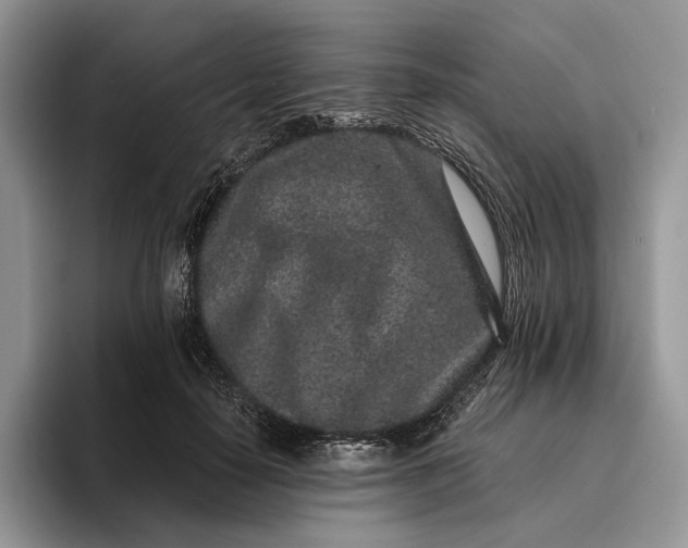 X0000095930650200801251051