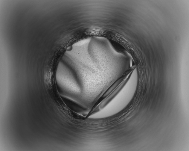 X0000095930651200801251051