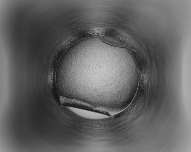 X0000095930652200801251051