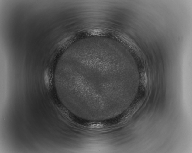 X0000095930653200801251051
