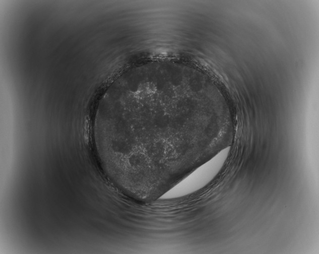 X0000095930659200801251051