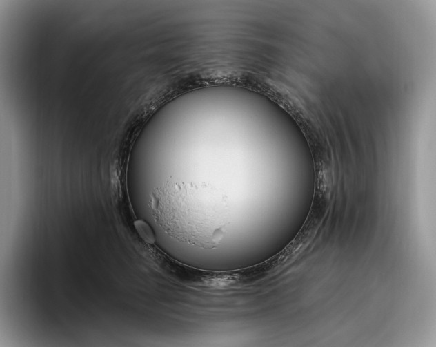 X0000095930662200801251051