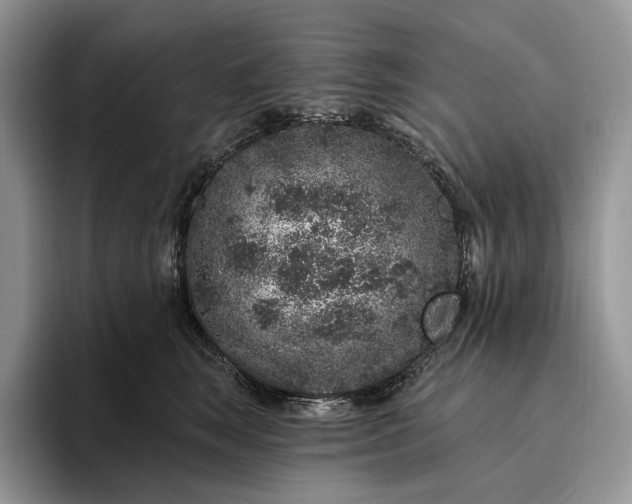 X0000095930663200801251051